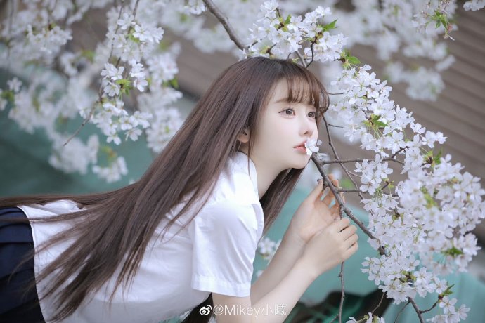拿破仑 封面